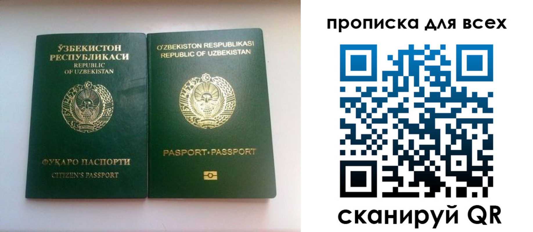прописка для школы в Полевском